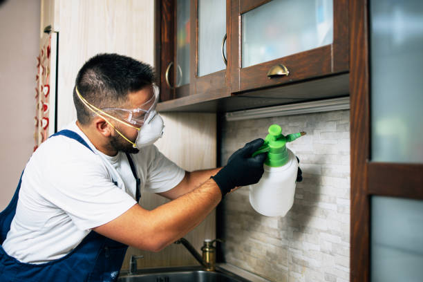 Best Termite Control Services  in Inverness Highlands North, FL