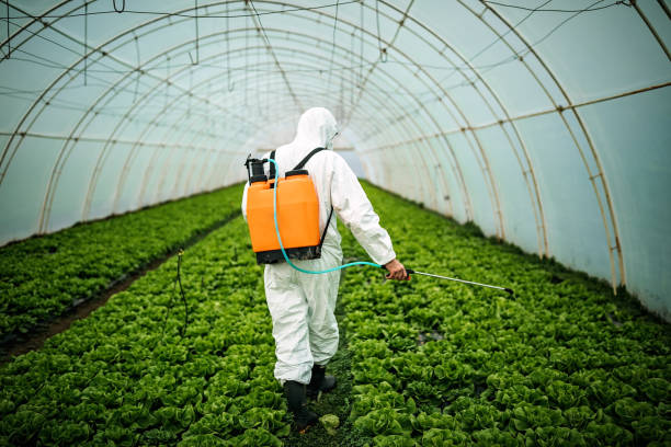 Best Affordable Pest Control Services  in Inverness Highlands North, FL