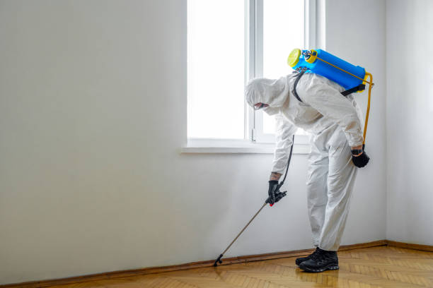Best Emergency Pest Control  in Inverness Highlands North, FL