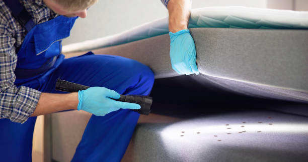 Best Best Pest Control Companies  in Inverness Highlands North, FL