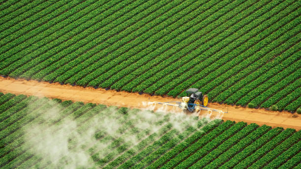 Best Ant Control Services  in Inverness Highlands North, FL