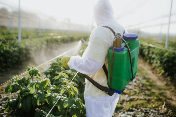 Best Affordable Pest Control Services  in Inverness Highlands North, FL